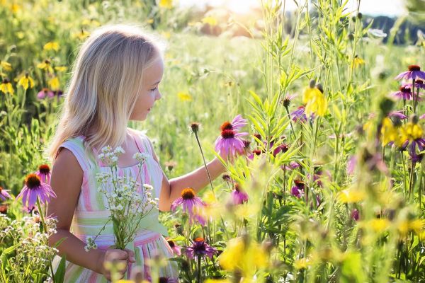 Mała dziewczynka zbierająca kwiatki na łące